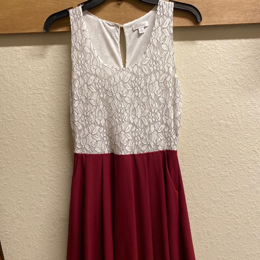 Charming Charlie Dress